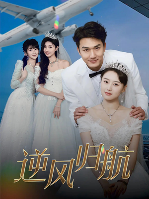 逆风归航（55集）剧情简介