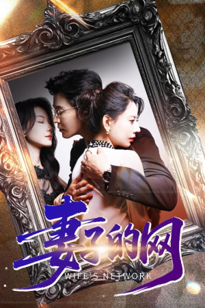 妻子的网（50集）评价怎么样