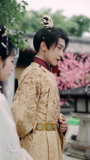 雪落又逢君（78集）高分佳作免费看