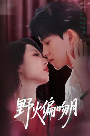 野火偏吻月（51集）上热门短剧