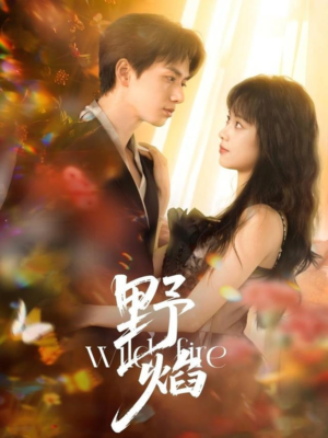 野焰（60集）精彩短剧追不停