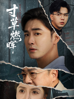 寸草燃晖（70集）迅雷网盘观看