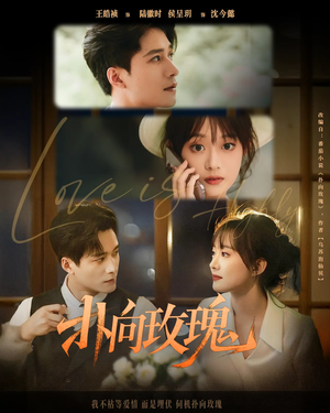 扑向玫瑰(77集) 扑向玫瑰(77集)每日短剧追不停