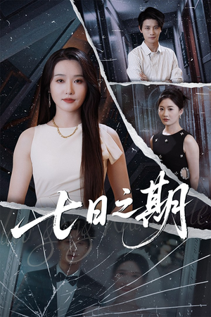 七日之期（90集）一口气追完全集