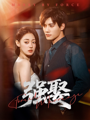 强娶（80集）精彩连连免费看
