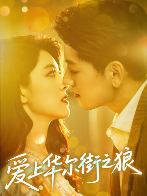 爱上华尔街之狼（60集）360网盘观看