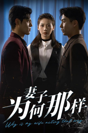 妻子为何那样（60集）短剧小说在线看