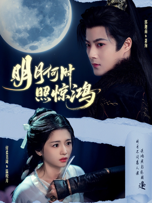 明月何时照惊鸿（80集）热门短剧追不停