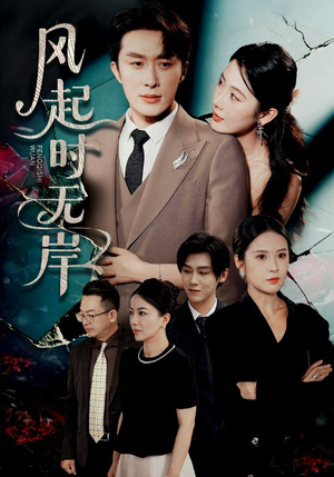 风起时无岸（58集）在线播放