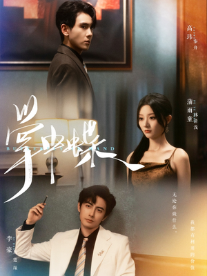 掌中蝶（84集）独家内容免费看