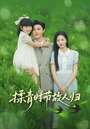 揉青时节故人归（60集）穿越短剧推荐