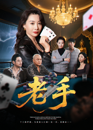 老手（36集）直接看到大结局