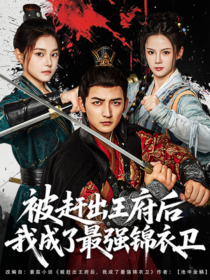 被赶出王府后我成了最强锦衣卫（80集）免费在线看全集