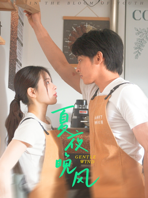 夏夜晚风（12集）1-102集