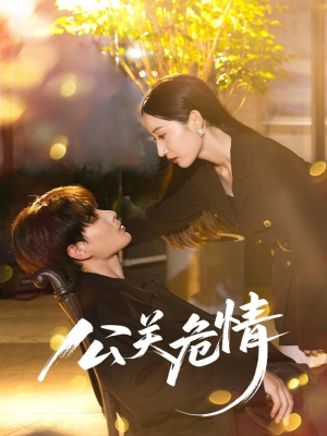 公关危情（60集）甜宠短剧追到爽