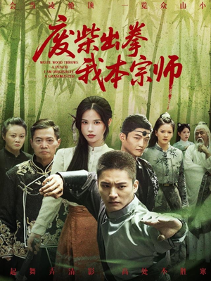 废柴出拳我本宗师（61集）短剧看全集