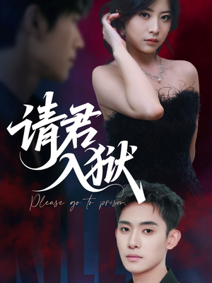 请君入狱（31集）80到100集