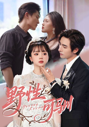 野性可驯（63集）独家资源免费看