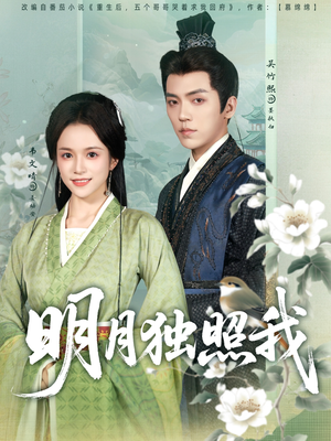 明月独照我（80集）全集下载