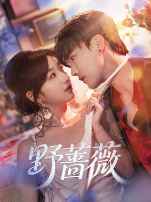 野蔷薇（60集）完整版免费观看