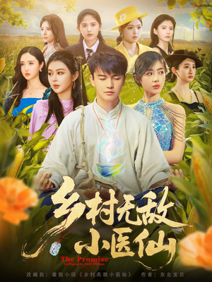 乡村无敌小医仙（87集）第二季