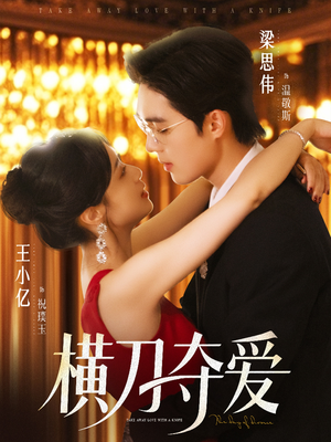 横刀夺爱（82集）迅雷网盘观看