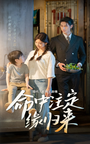 命中注定缘归来（63集）更新时间一览表