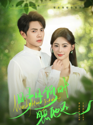 明月何时照他还（73集）短剧介绍