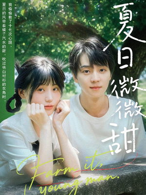 夏日微微甜（79集）悬疑短剧推荐