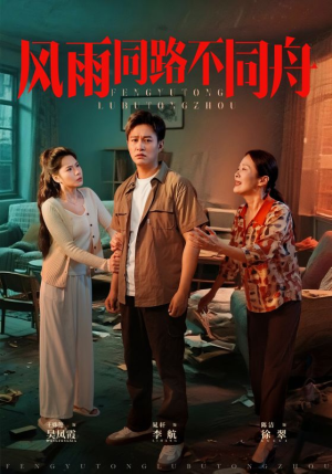 风雨同居不同舟（32集）热播短剧推荐