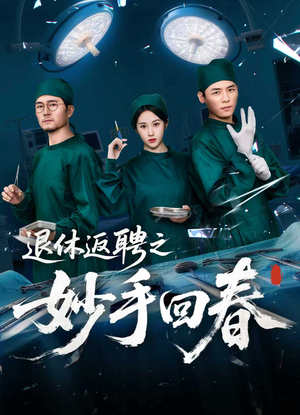 退休返聘之妙手回春（60集）在线看免费版