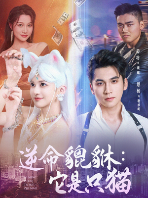逆命貔貅它是只猫（35集）第一季