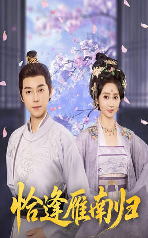 恰逢雁南归（51集）短剧也太好看了