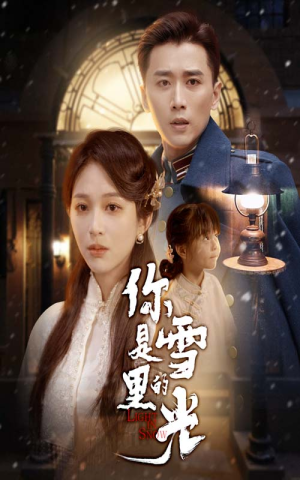 你是雪里的光（64集）解说