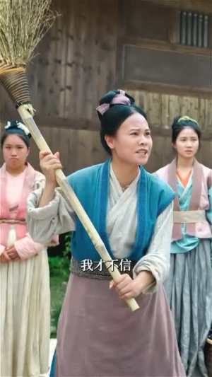 凤去台空江自流（41集）免费短剧资源