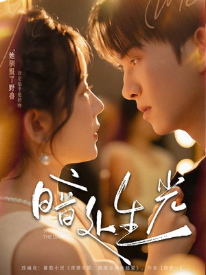 暗处生光（82集）短剧免费看