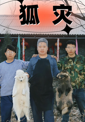 狐灾（25集）演的怎么样