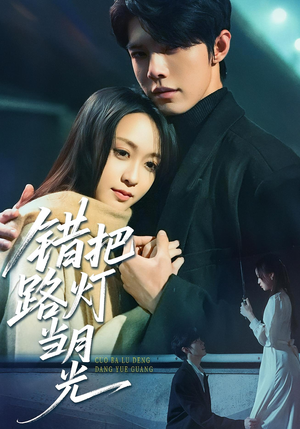 错把路灯当月光（40集）夸克在线观看