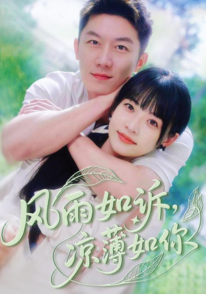 风雨如诉凉薄如你（70集）短剧抢先看全集