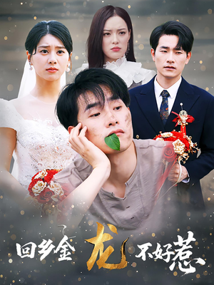 回乡金龙不好惹（74集）短剧分享剧集