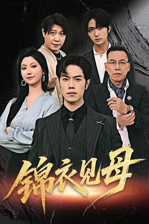 锦衣见母（60集）第三季