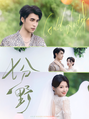 七分野（78集）短剧热播中