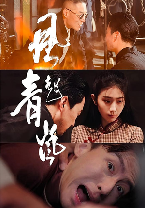 风起青岚（96集）经典老剧免费看