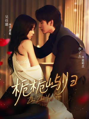 栀栀屿归（80集）完整版免费观看