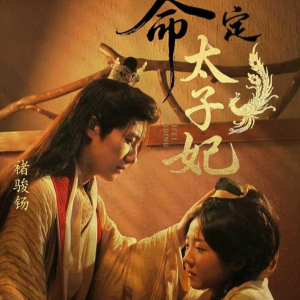 命定太子妃（63集）流畅播放免费看