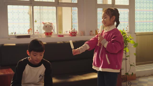 对不起我磕到你了（20集）免费在线看全集