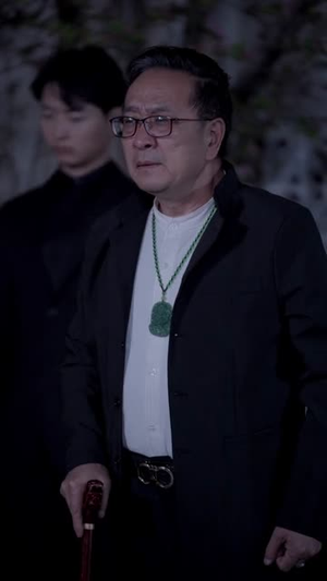 特工老妈之重出江湖（62集）热门短剧来袭