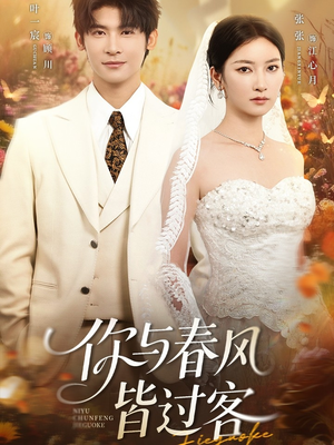 你与春风皆过客（66集）好看吗