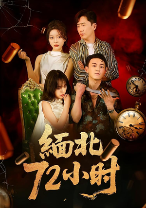 缅北72小时（43集）观看软件