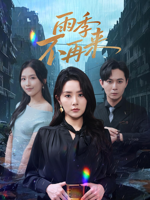 雨季不再来（65集）全集我都看完了